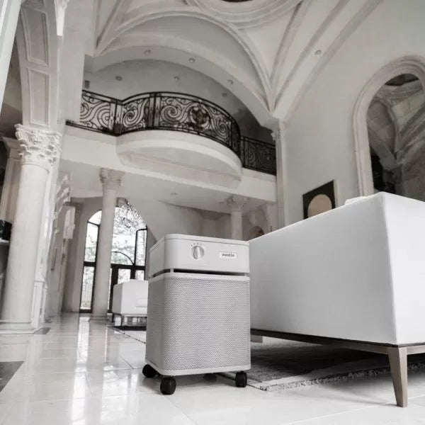 An Austin Air Healthmate Plus Air Purifier on wheels sits beside a white sofa in a spacious, elegant living room with high ceilings, arched windows, and ornate columns.